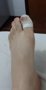 15666101