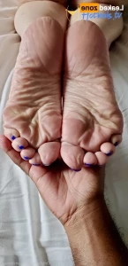 16395310