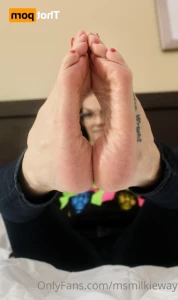 16395324