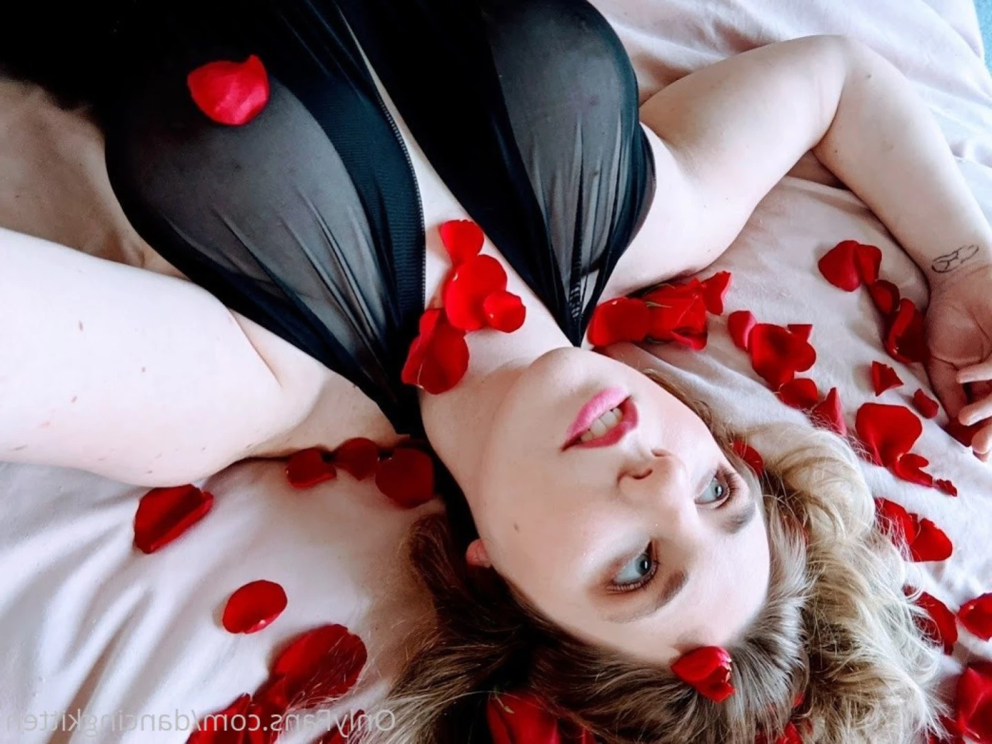 Claire Johnson [ dancingkitten ] Onlyfans leaked photo 12731901 on Hotleaks.tv
