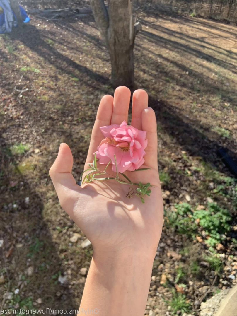 flowergothroze Onlyfans leaked photo 13490172 on Hotleaks.tv