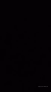16042475
