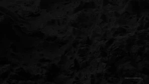 16047916