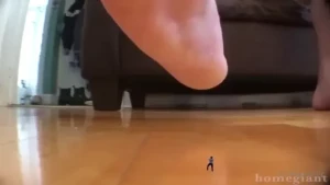 12576507