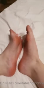 13726186