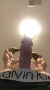13294813