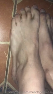 14129597