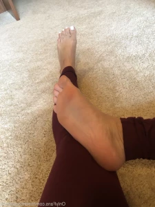 16266706