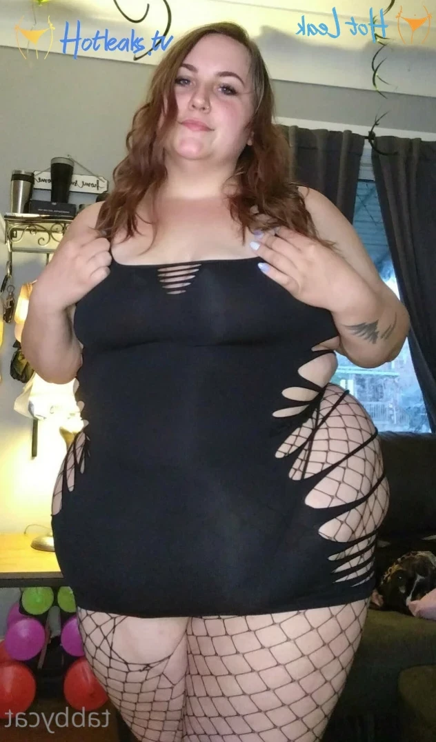 Tabbycat [ tabby_cat95 ] Onlyfans leaked photo 11411676 on Hotleaks.tv