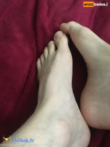 15622860
