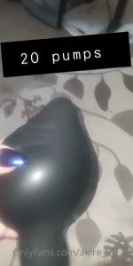 15091198