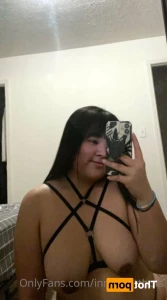 14933461