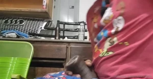 Maximus P. [ massivobros ] Onlyfans leaked video 13133531 on Hotleaks.tv