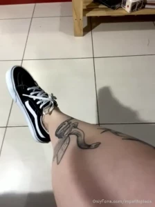 16217219