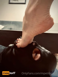 16403191
