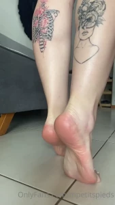 16449626