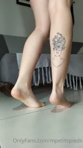 16449636