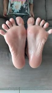 16449637