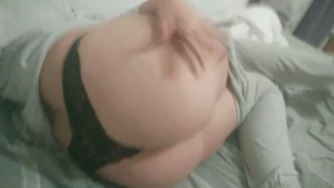 13591841