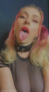 16362254