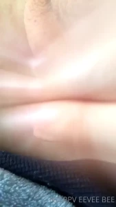 13587298