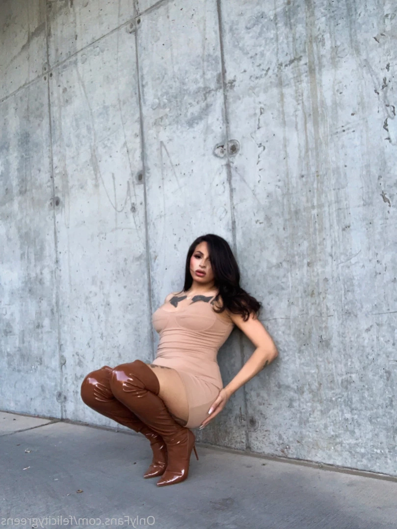 TS Felicity Fox [ thefelicityfox ] Onlyfans leaked photo 15088233 on Hotleaks.tv