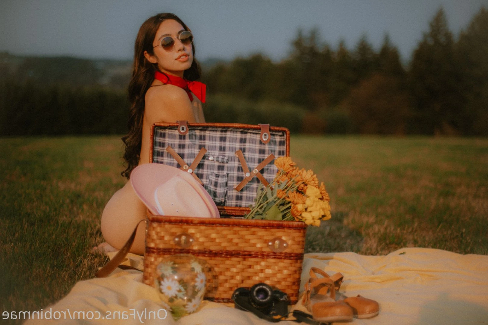 robin mae [ robinmae ] Onlyfans leaked photo 1031276 on Hotleaks.tv