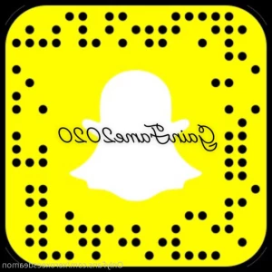 15673217