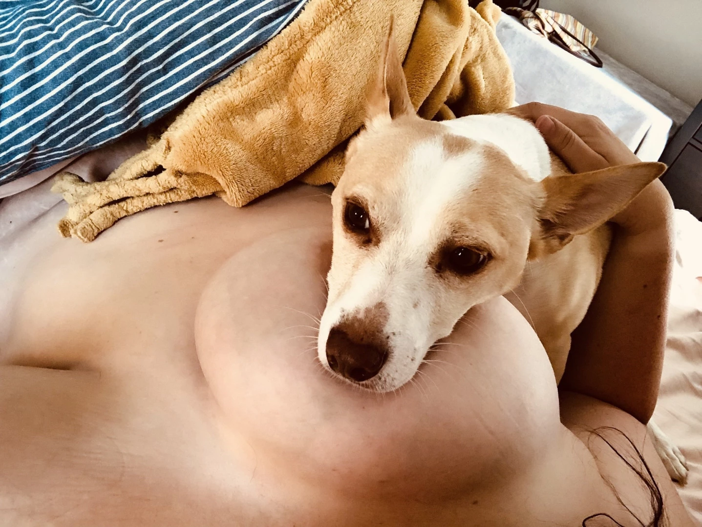 Emma Delight [ emmadelight ] Onlyfans leaked photo 13691648 on Hotleaks.tv