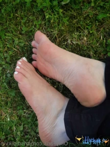 12694666