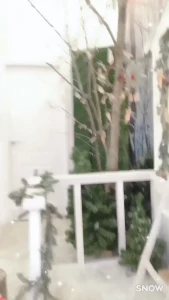 Alisa [ alisapikapika ] Onlyfans leaked video 1729987 on Hotleaks.tv