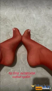 16403505