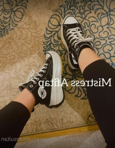 16403510