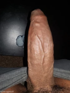16181971