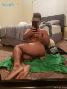 16181984