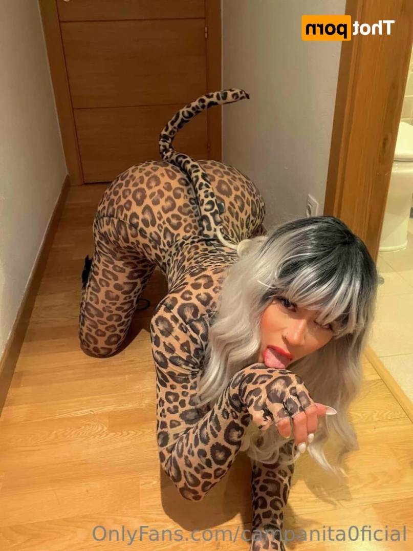 🇻🇪🧚🏻𝗖𝗔𝗠𝗣𝗔𝗡𝗜𝗧𝗔 🧚🏻‍♀️ [ campanita0ficial ] Onlyfans leaked photo 13997848 on Hotleaks.tv