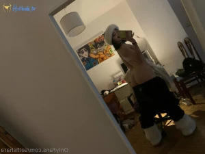 14763731