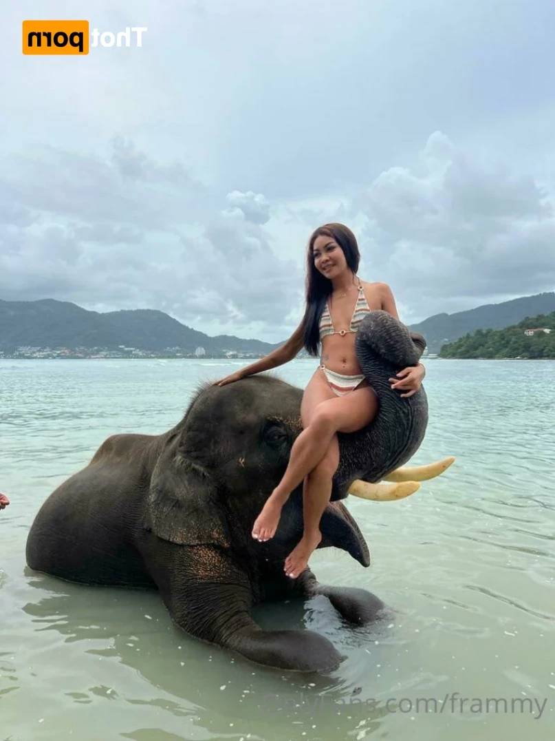 Frammy - Thai Spinner 😈 [ frammy ] Onlyfans leaked photo 12698955 on Hotleaks.tv