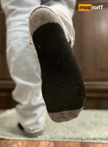 15429262