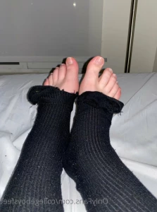 15863544