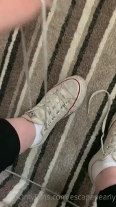 13723301