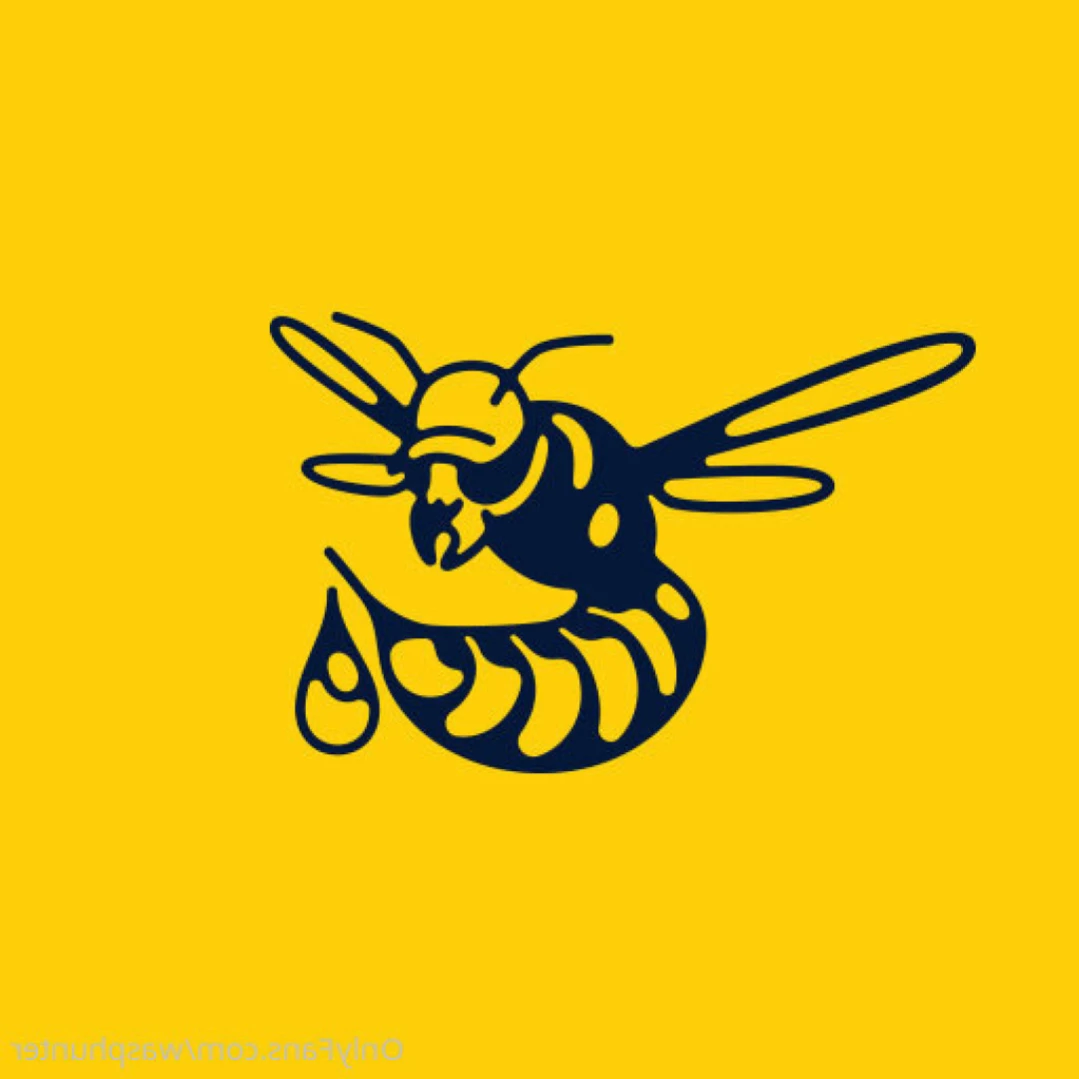 Wasphunter 🐝🥍 [ wasphunter ] Onlyfans leaked photo 11864918 on Hotleaks.tv