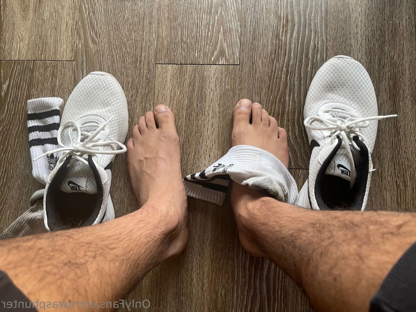 Wasphunter 🐝🥍 [ wasphunter ] Onlyfans leaked photo 12052446 on Hotleaks.tv