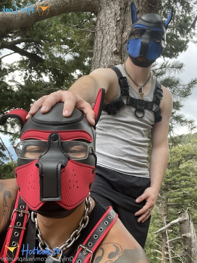 Wasphunter 🐝🥍 [ wasphunter ] Onlyfans leaked photo 12705651 on Hotleaks.tv