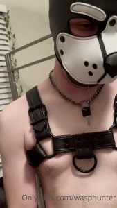 Wasphunter 🐝🥍 [ wasphunter ] Onlyfans leaked video 13161522 on Hotleaks.tv