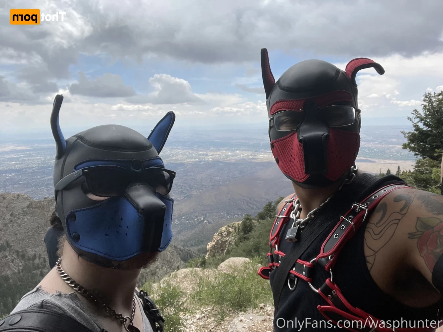 Wasphunter 🐝🥍 [ wasphunter ] Onlyfans leaked photo 14016827 on Hotleaks.tv