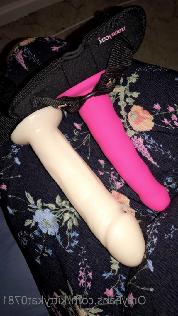 Kittykat [ kittykat0781 ] Onlyfans leaked photo 16129391 on Hotleaks.tv