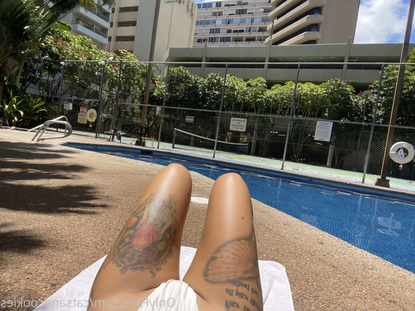 catsandcookies Onlyfans leaked photo 15946089 on Hotleaks.tv