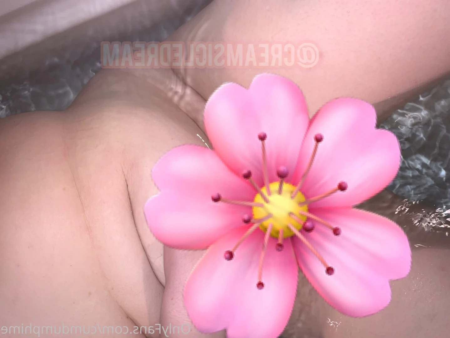 cumdumphime Onlyfans leaked photo 15911632 on Hotleaks.tv