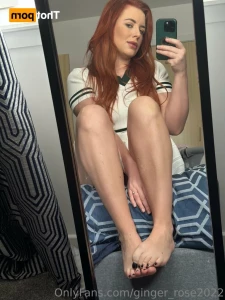 15528687